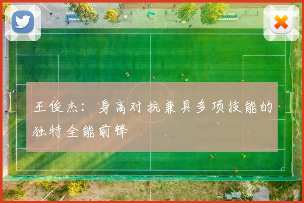 王俊杰：身高对抗兼具多项技能的独特全能前锋
